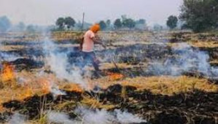 Strict action will be taken against 21 farmers who burn stub