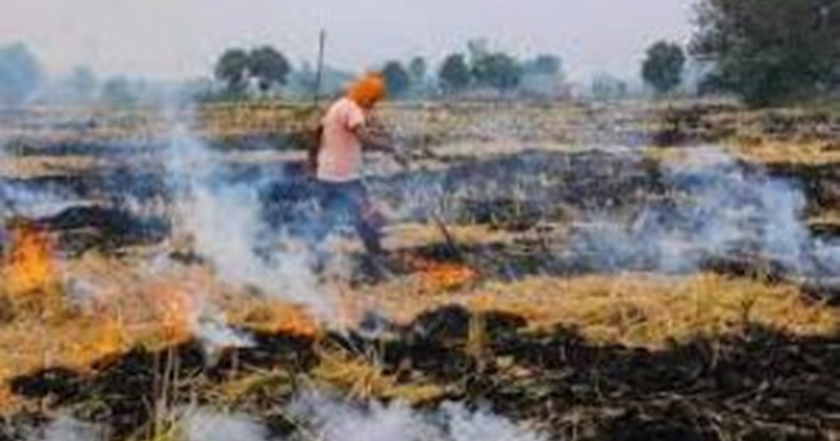 Strict action will be taken against 21 farmers who burn stub