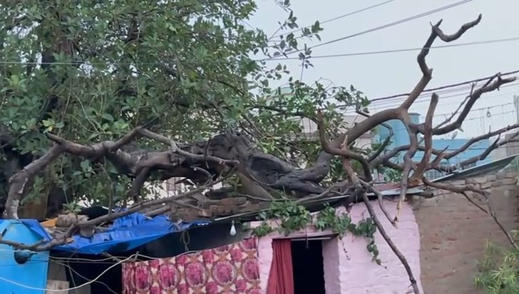 A person died a painful death in Hajipur due to heavy storm A person died a painful death in Hajipur due to heavy storm