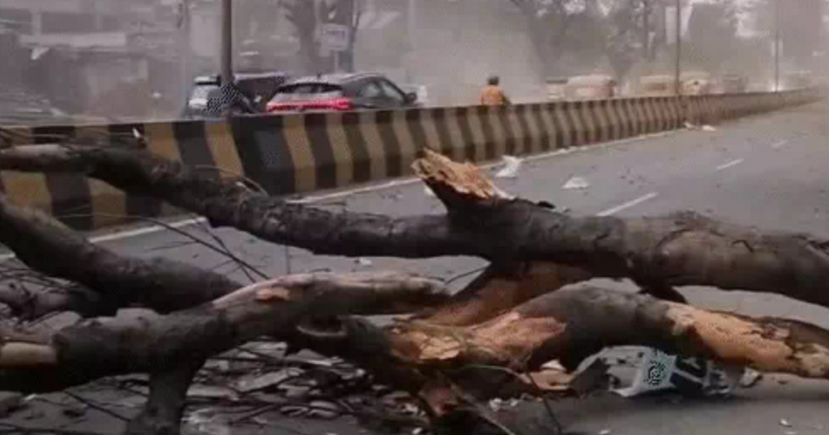 Storm and lightning wreak havoc in Bihar, about 60 people di