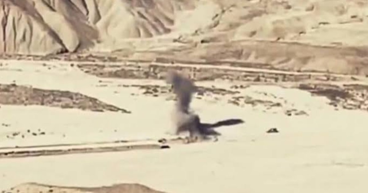 Two-way firing on LOC, 10 Pakistani soldiers killed in IED b