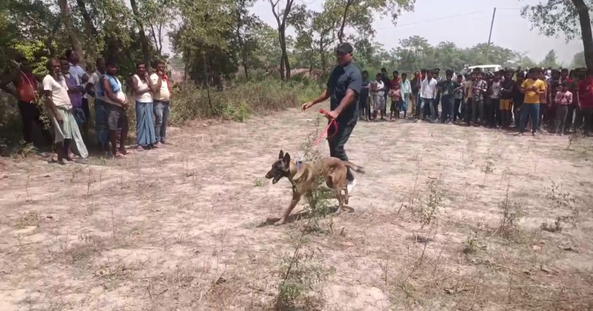 A girl who went to see Hanuman worship at the Sarpanch's hou