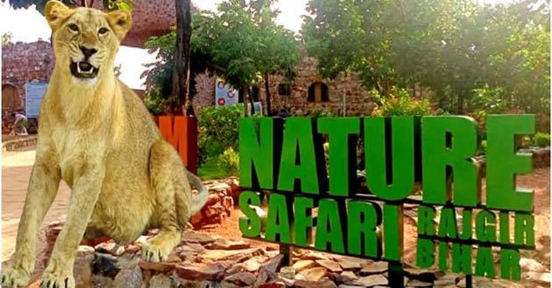 Due to extreme heat, timings of Rajgir Zoo and Nature Safari Due to extreme heat, timings of Rajgir Zoo and Nature Safari