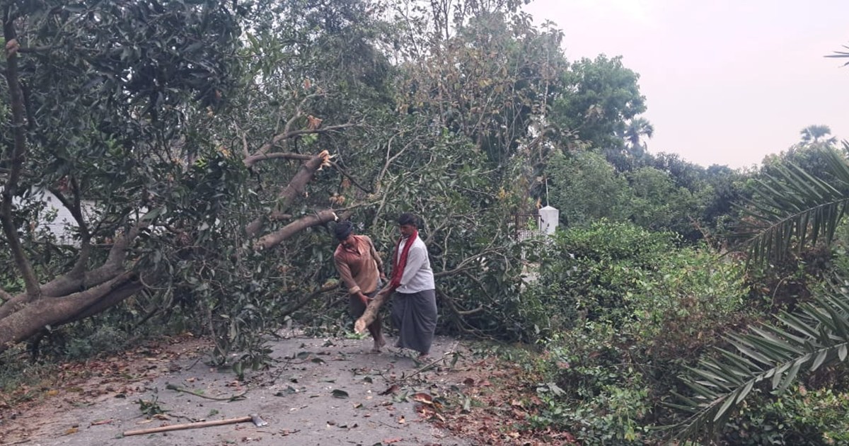 Heavy damage due to strong storm and rain in many districts 