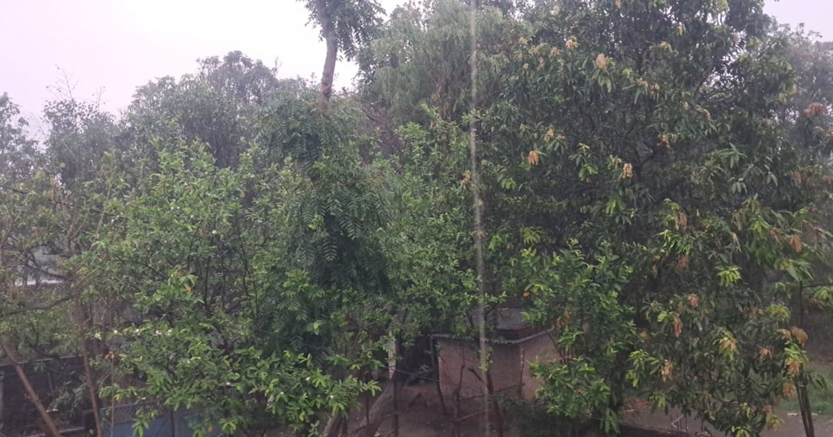 Caution! Strong storm and rain in many districts of Bihar