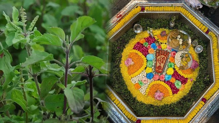 lord-vishnus-feet-are-decorated-with-tulsi-tulsi-leaves-come