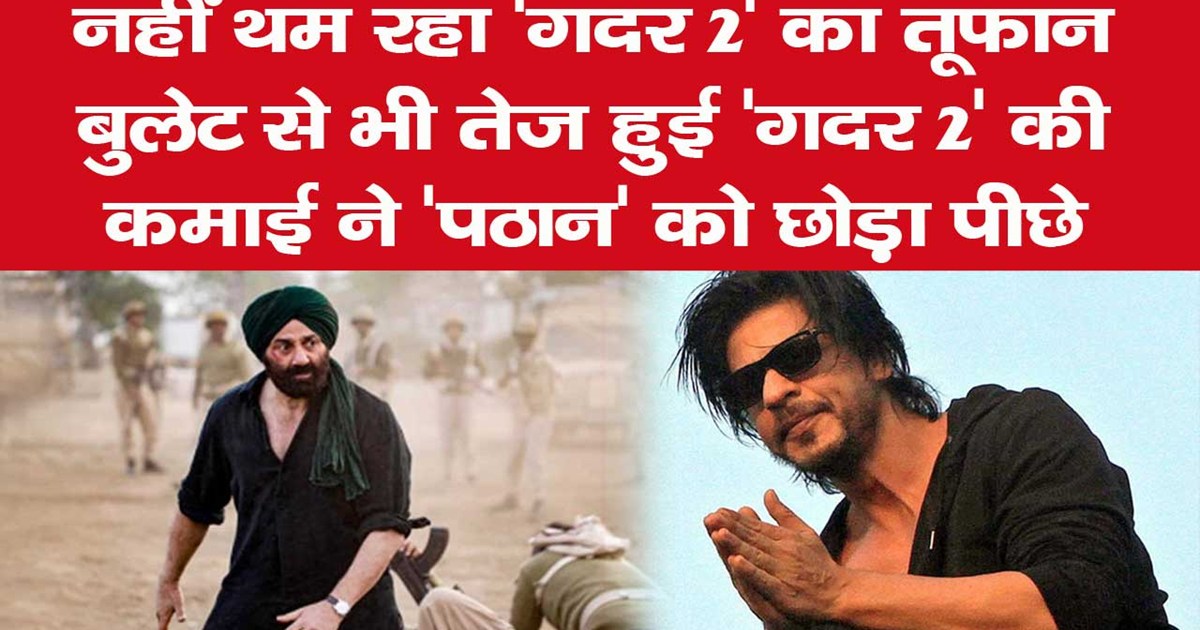 gadar 2 beats pathan on box office collection