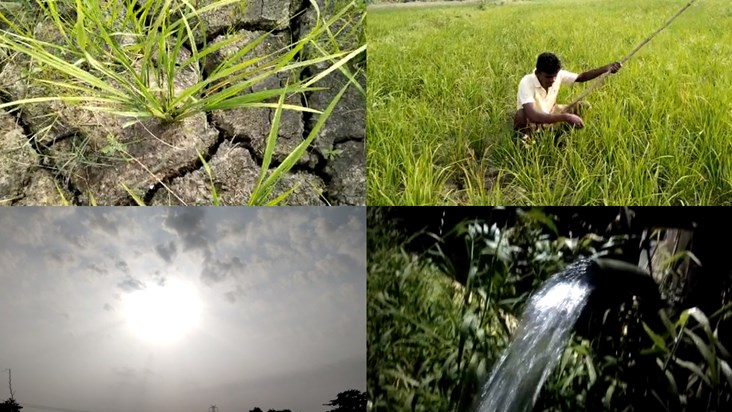Outcry among the farmers due to drought, now there is a conc
