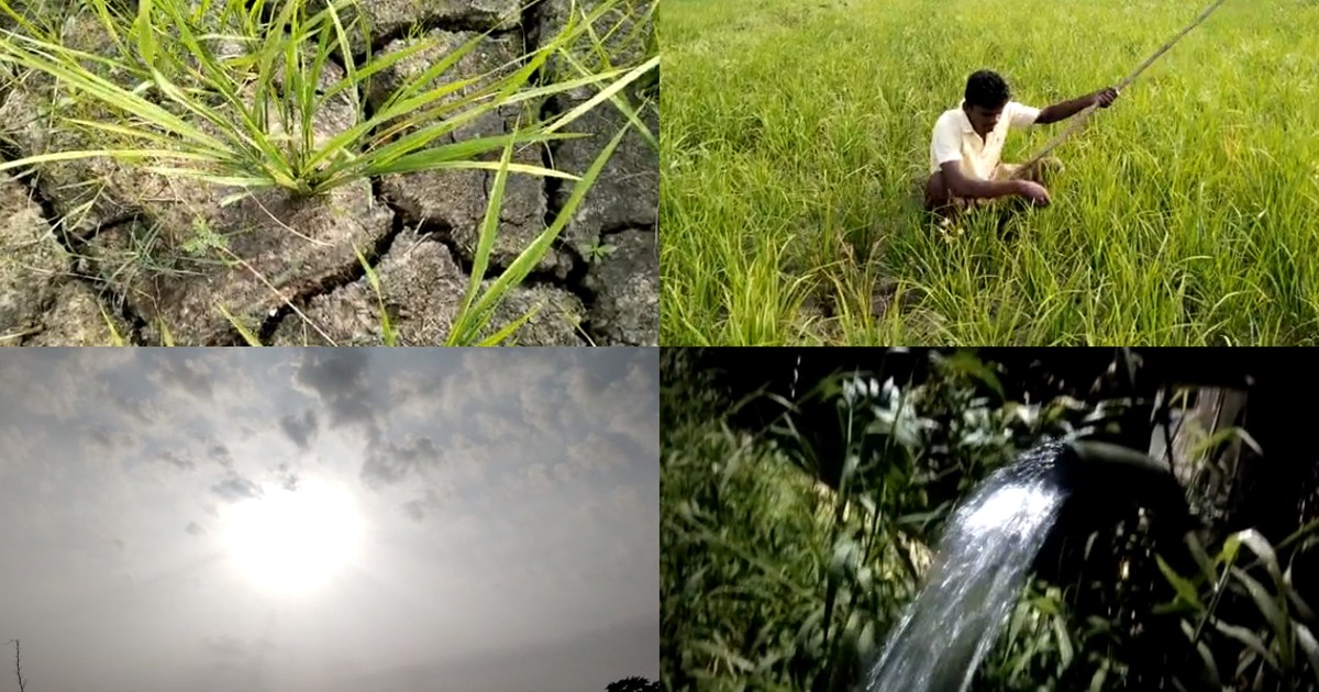 Outcry among the farmers due to drought, now there is a conc