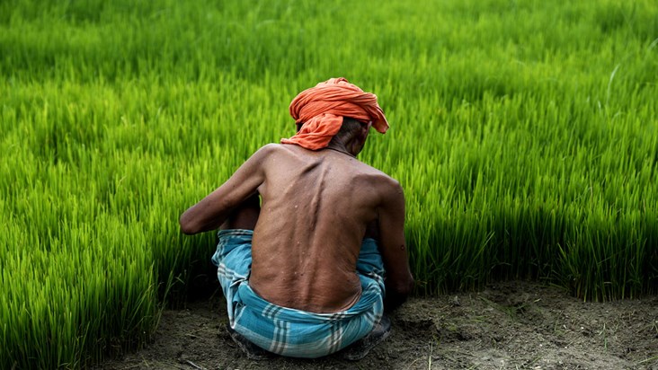 monsoon bihar update news
