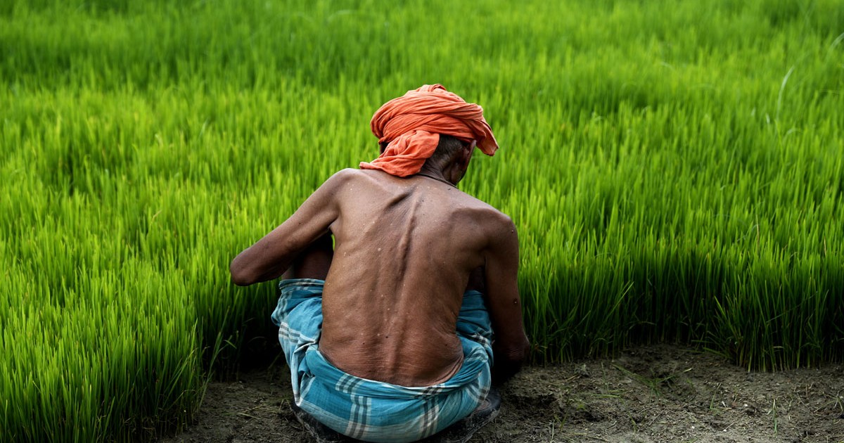 monsoon bihar update news