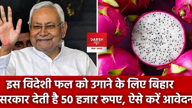 dragon fruit subcidi bihar