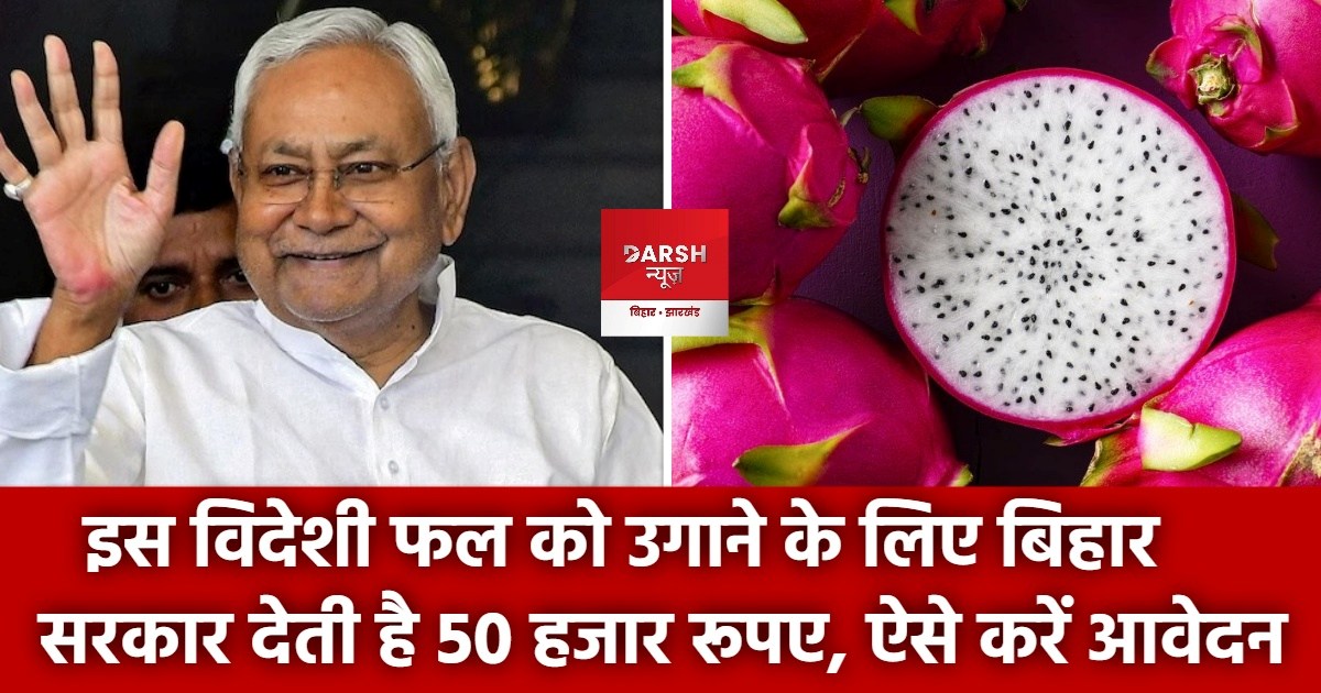 dragon fruit subcidi bihar
