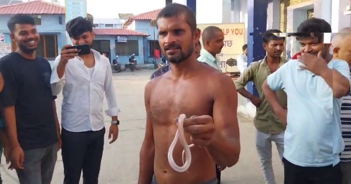 In Samastipur, a youth reached the hospital with a snake for