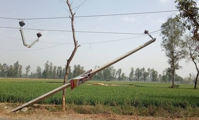 Negligence of electricity department, woman lost her life in