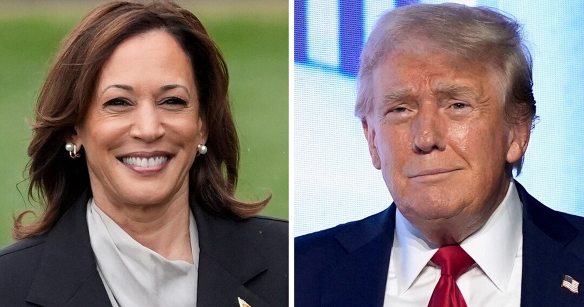 Donald Trump and Kamala Harris will compete in the US presid