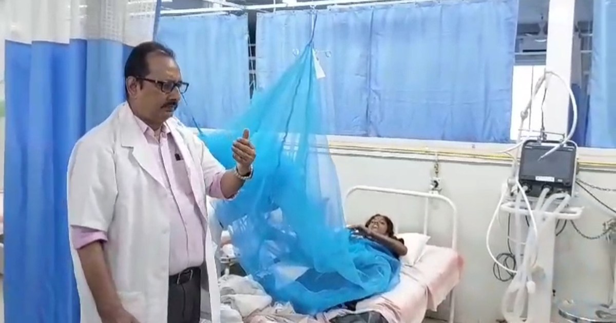 Beware of dengue sting, number of patients is increasing in 
