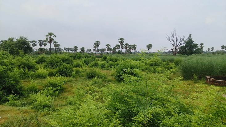 Bihar Vidhansabha ke chunaavi saal mein Magadh-Shahabad ko m Bihar Vidhansabha ke chunaavi saal mein Magadh-Shahabad ko m