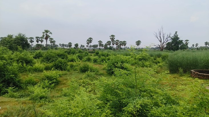 Bihar Vidhansabha ke chunaavi saal mein Magadh-Shahabad ko m