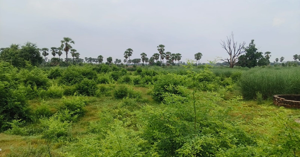Bihar Vidhansabha ke chunaavi saal mein Magadh-Shahabad ko m