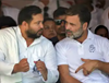 राहुल गांधी के घर महागठबंधन की 'डिनर पार्टी', इन बड़े मु्द्दों पर होगी चर्चा...