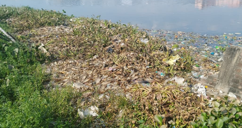 Hajipur mein mar gayi 20 quintal machliyan, bazaar mein bech Hajipur mein mar gayi 20 quintal machliyan, bazaar mein bech