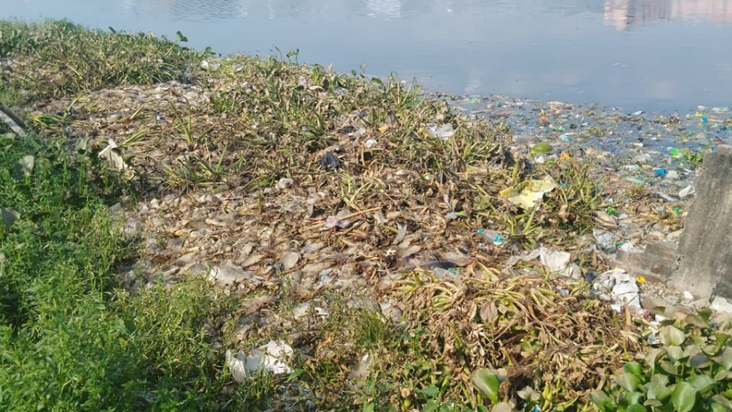 Hajipur mein mar gayi 20 quintal machliyan, bazaar mein bech