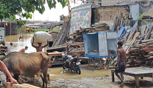 Ganga ka kehar: Danapur ke diyara me baadh se haahaakaar, darjono gaon taapu me tabdeel...