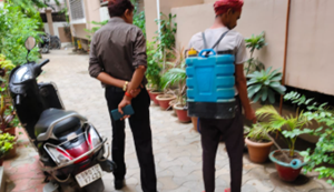 Patna News: Patna Nagar Nigam dwara galliyon ke saath chhaton par bhi kiya ja raha anti larva ka chhidkav.