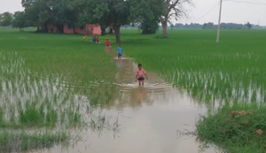 Paani mein dooba vidyalaya: bacchon aur shikshakon ke aane-jaane ka raasta nahi, bacche aur shikshak paani mein jaate hain vidyalaya.