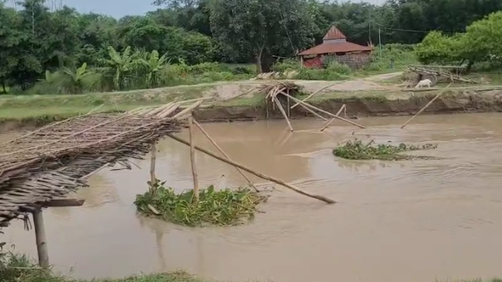 Bihar Flood Sursar nadi par bana Chachari pul dhvast, gaon k