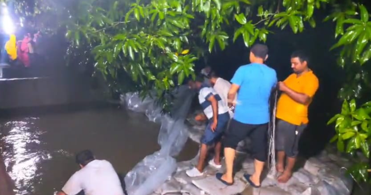 Bihar Flood News : Ganga nadi ke tatbandh mein risaav se mac