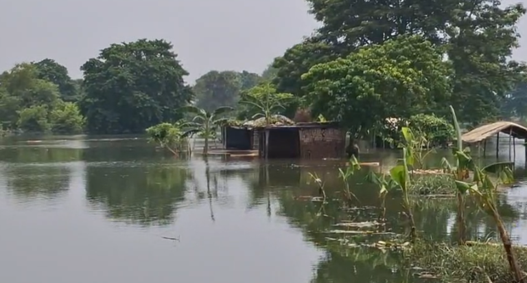 Baadh prabhavit kshetron mein logon ko mil rahe bhojan, navj
