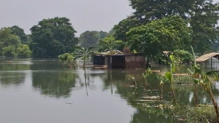 Baadh prabhavit kshetron mein logon ko mil rahe bhojan, navj