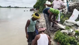 Bihar Flood : Kosi nadi mein jalstar badhne se Kosi nadi ke tatbandh par tez hua kataav, kai gharo par khatra.