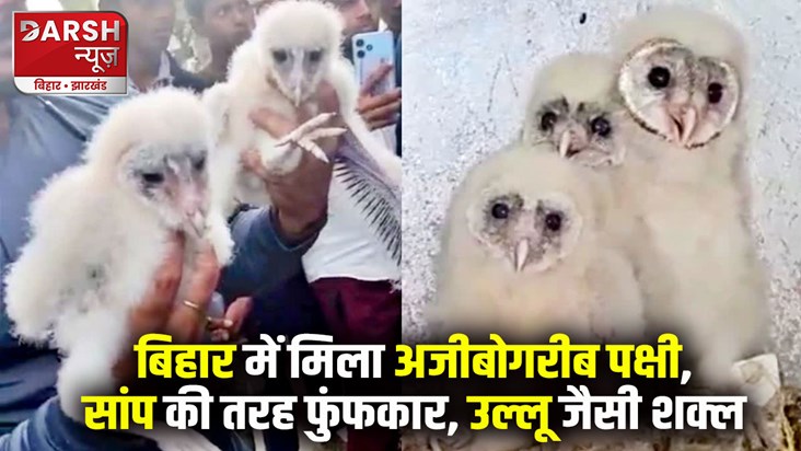 jatayu-found-in-bihar-hiss-of-a-snake-look-like-an-owl