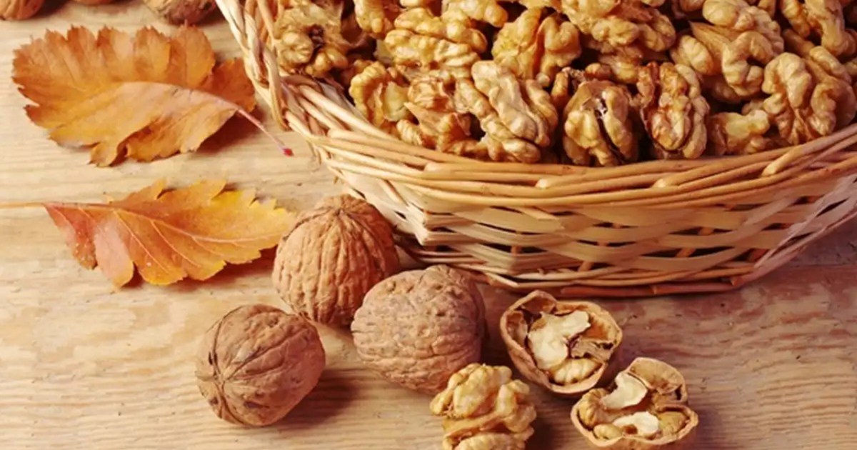 Is this dry fruit that looks like a brain really special for