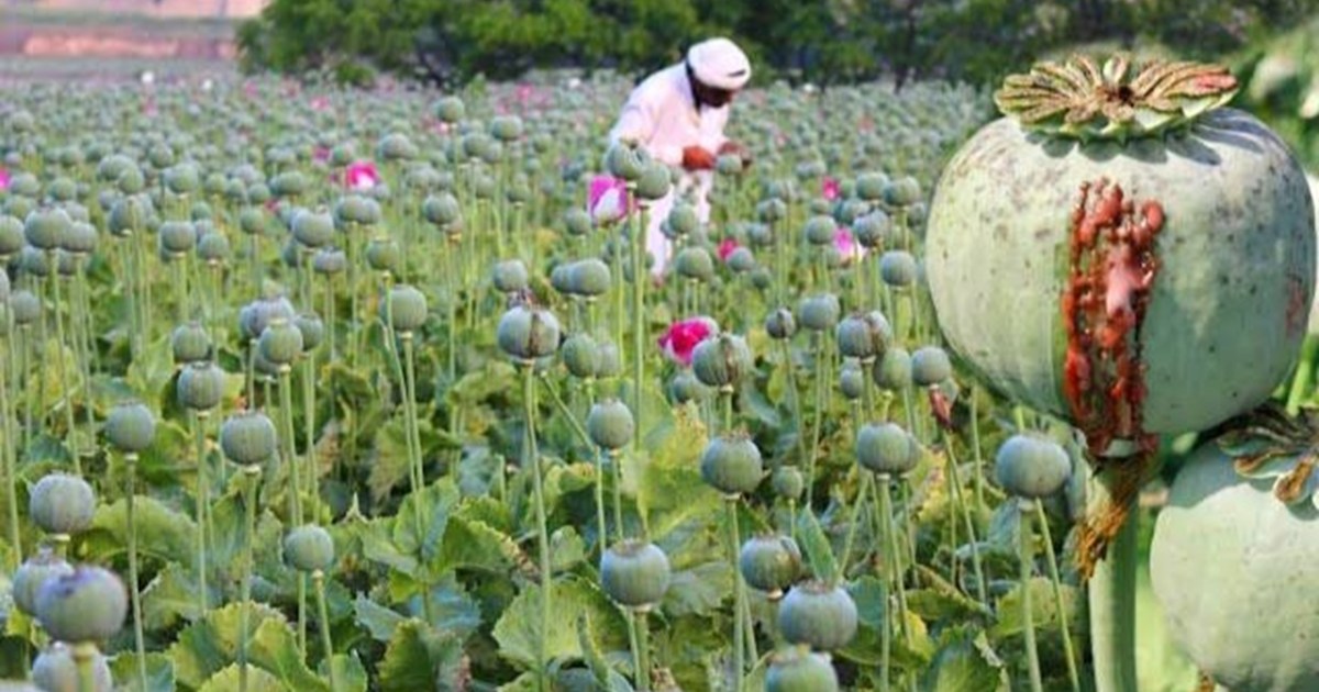 Campaign will be Run Against Drug Addiction