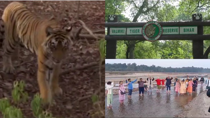 Valmiki Tiger Reserve is full of foreign tourists, Australia