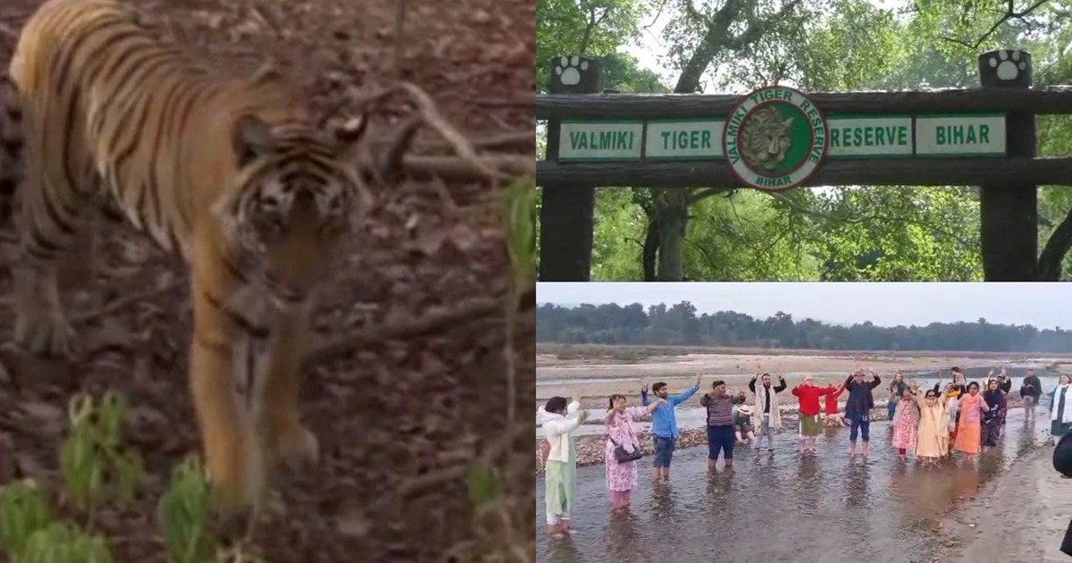 Valmiki Tiger Reserve is full of foreign tourists, Australia