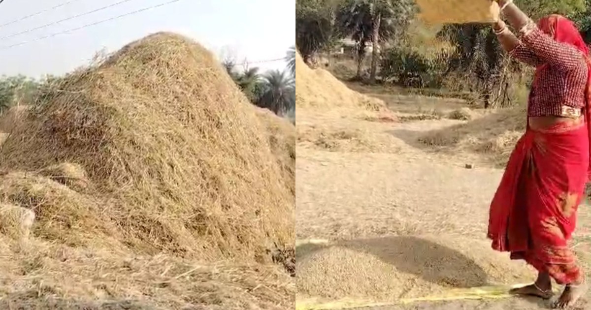 Paddy procurement has not started in Jharkhand, farmers are 