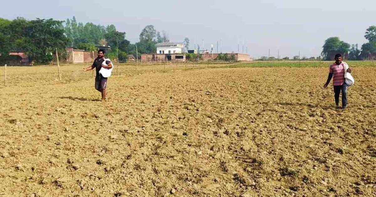 Farmers beware: Fake fertilizers and seeds are available in 