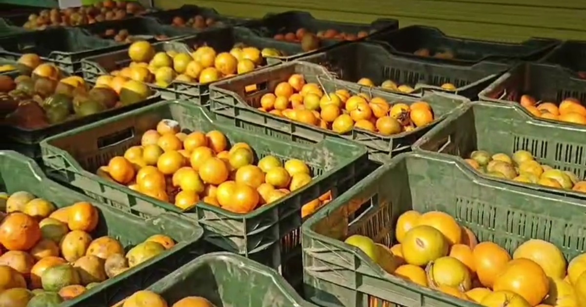 When liquor bottles started coming out of orange cartons in 