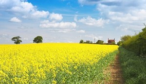 Life returned to the places where the wells had dried up.