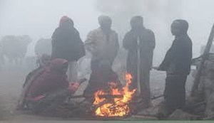 Bihar shivering in the bitter cold, dense fog and cold will continue for the next five days.