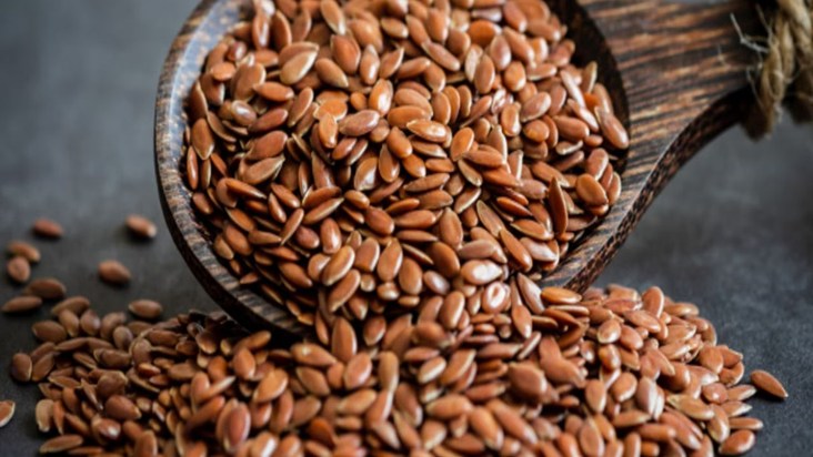 Low cost, amazing benefits: Why every Bihari should have fla