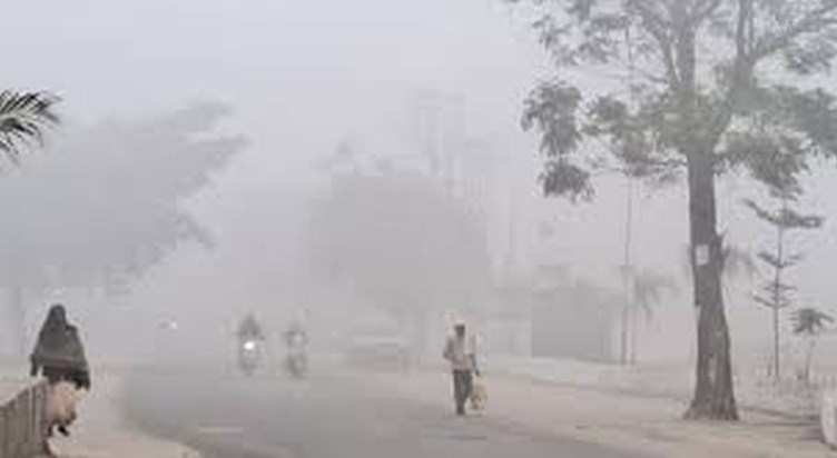 The impact of cold and fog will continue in Bihar for the ne