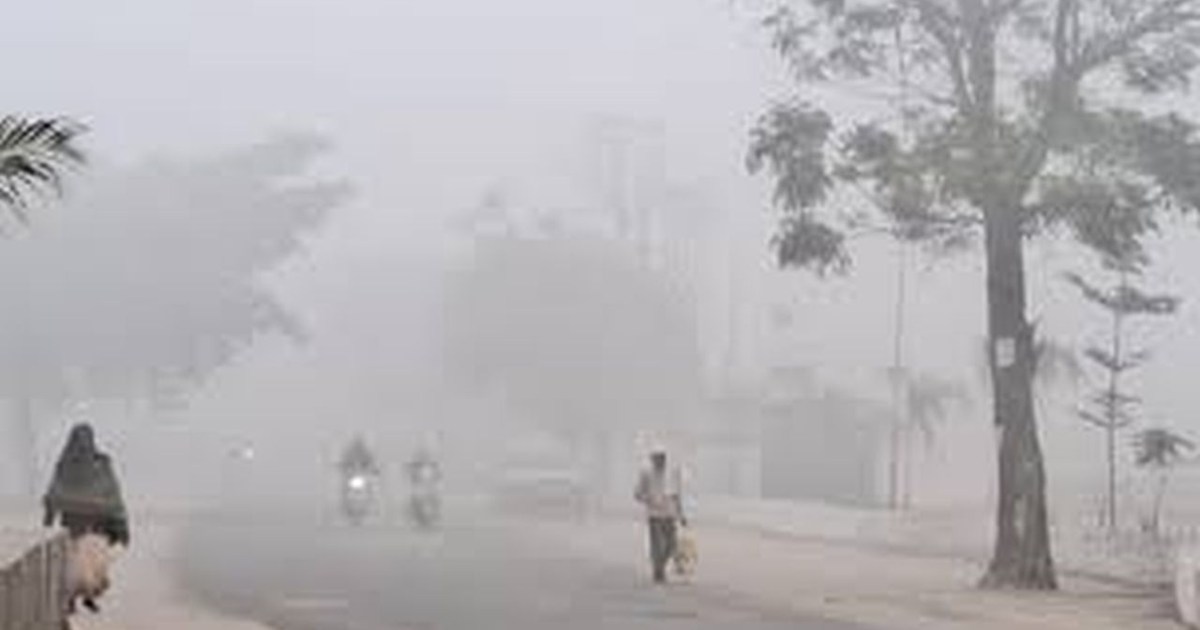 The impact of cold and fog will continue in Bihar for the ne