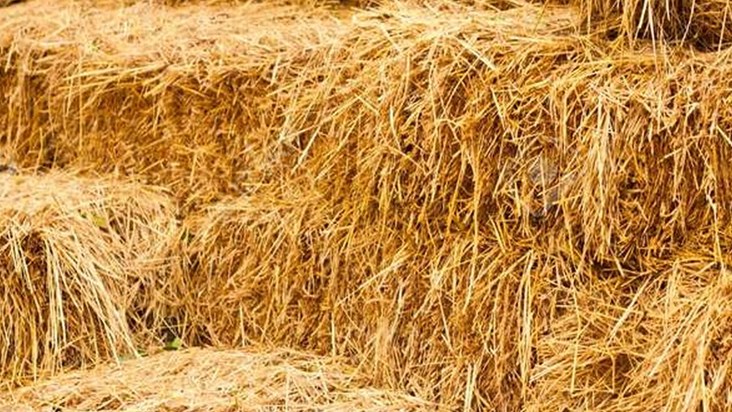 Burning crop residue is not only harmful to the environment 