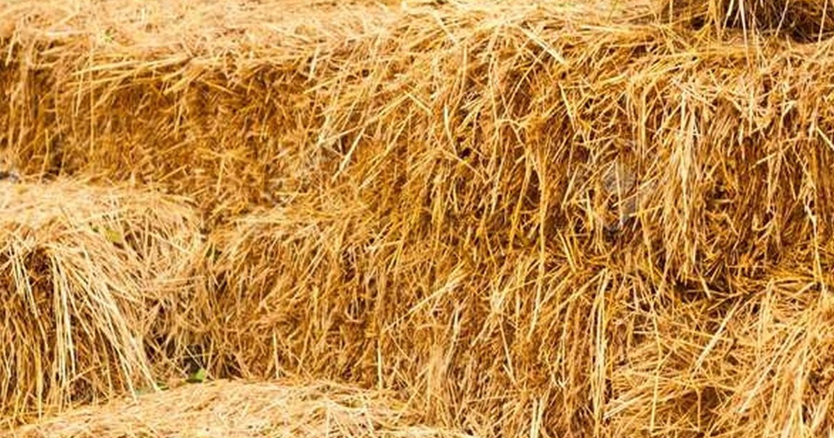 Burning crop residue is not only harmful to the environment 